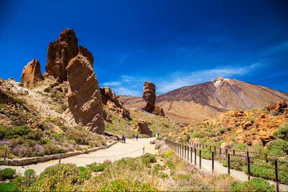 Excursión al Teide desde el sur de Tenerife