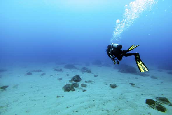 Bautismo de buceo en Las Galletas